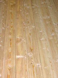 modřínový program